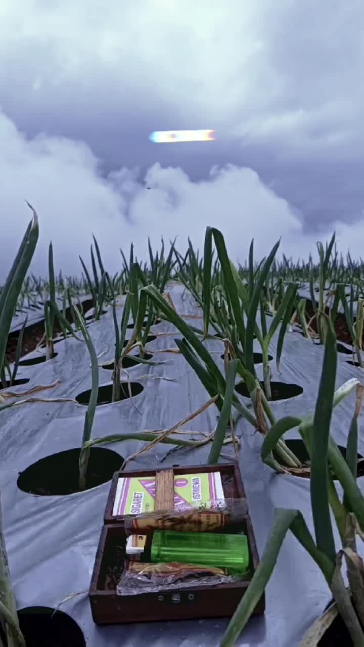 Bukan tentang seberapa sering kamu jatuh, tapi seberapa sering kamu bangkit kembali #otw jadi petani millenial modern  #Petani milenial yang