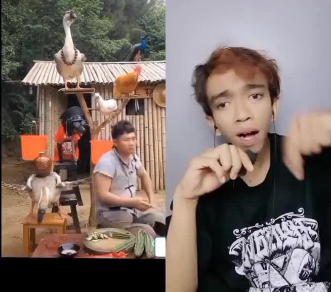 tebak ada berapa hewan di video sebelah!!!