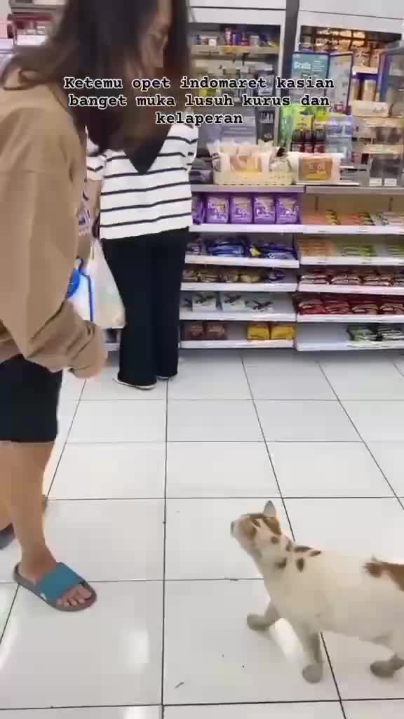 vggg