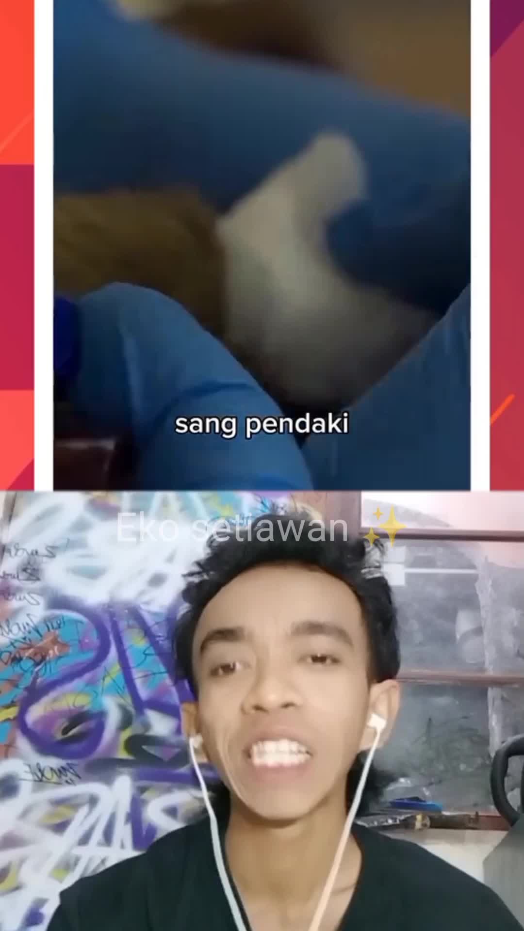 siapa sangka seekor serigala bisa tidur bareng dengan manusia ?#cliper #duett #reactiont #virall #sgorts #movie #videoedit 