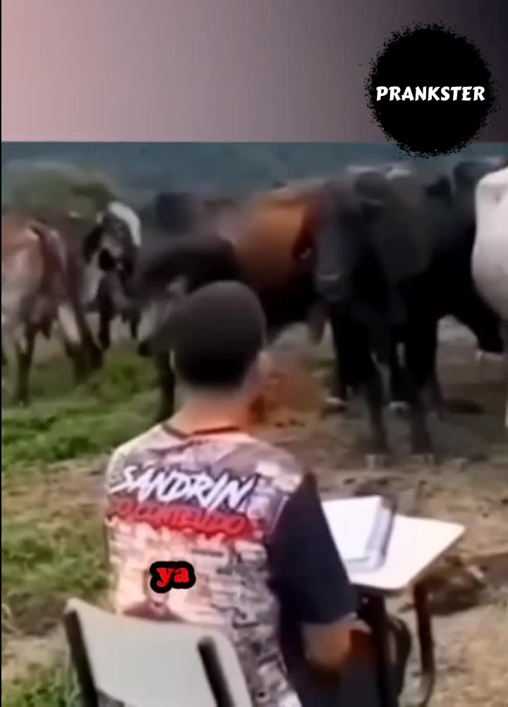 #350 Absen yuk🤣🤣

#videolucu #prank 