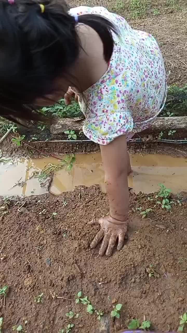 cemong karena lumpur