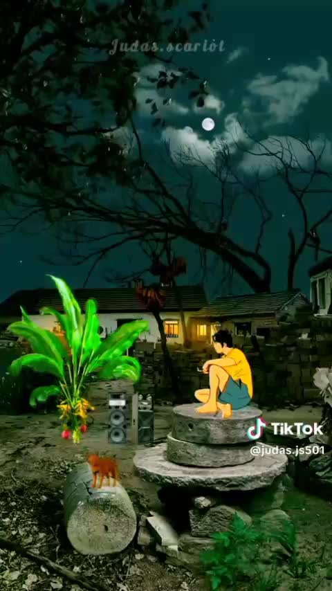 terus bao
