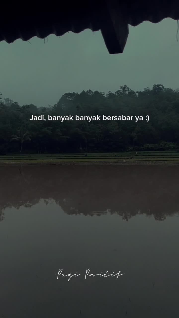 my live
