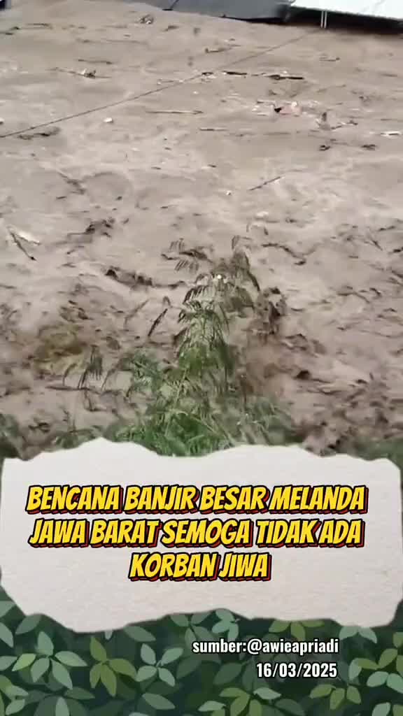 #News 