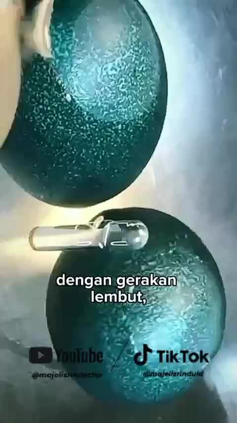 Menemukan 1 telur, ditukar 3 telur burung unta❤ #animallovers #fypシ゚viral 