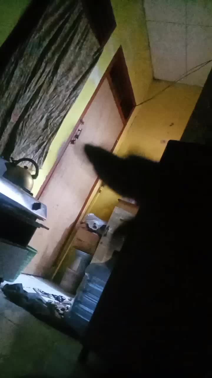 ????