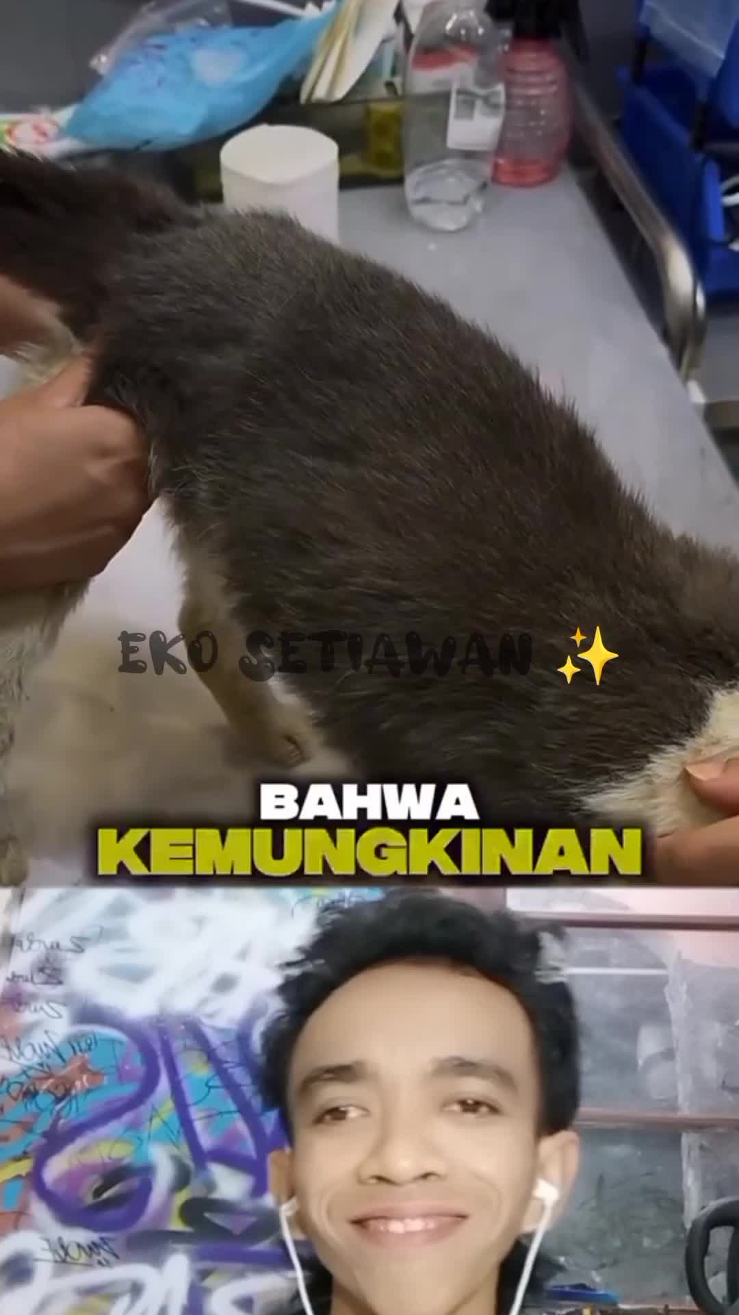 kucing ini berjalan tertatih tatoh kesakitan ?????