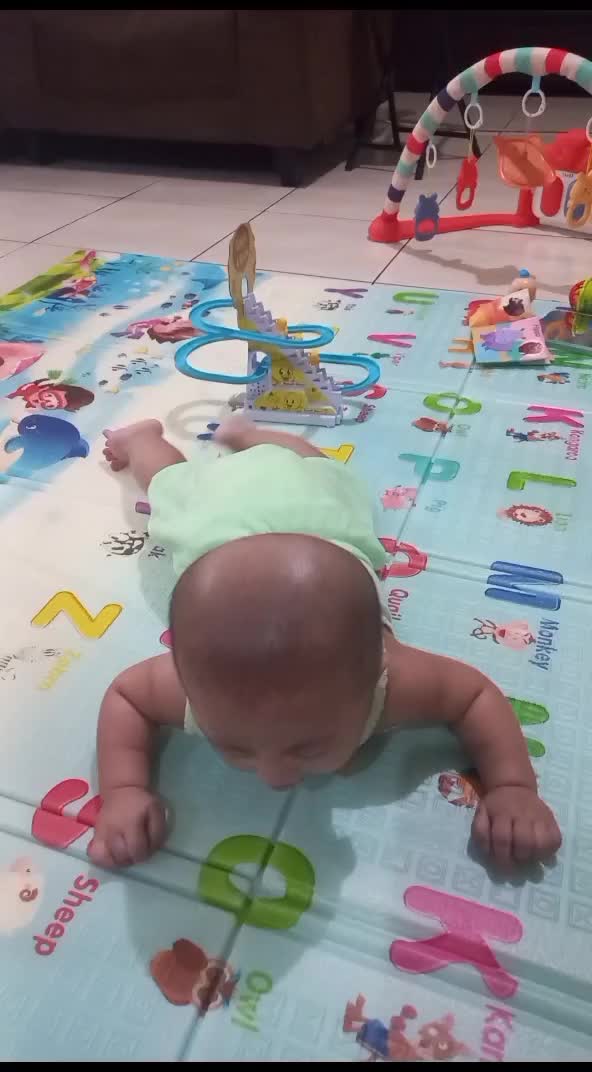 Bebe main diplaymate
