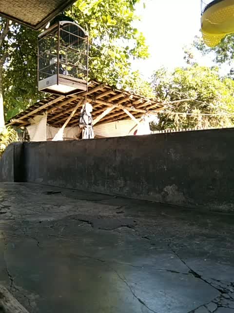  #shortplus  #fyp  #HOTrctiplus  #RCTIPlus 