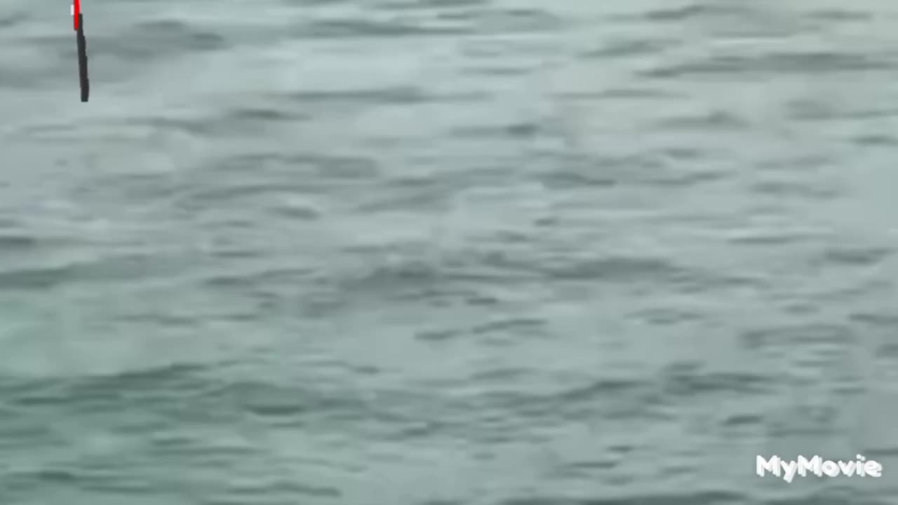 Destinasi Wisata Danau Ranau Sumatera Selatan