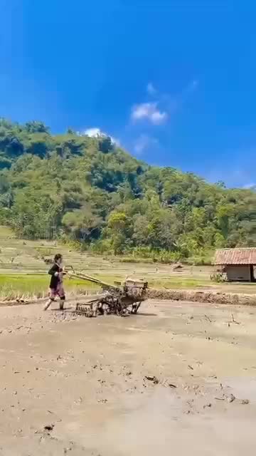 nyobain

 #videoviral
