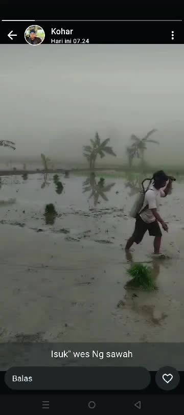 Pagi pagi pergi ke sawah #fyp 