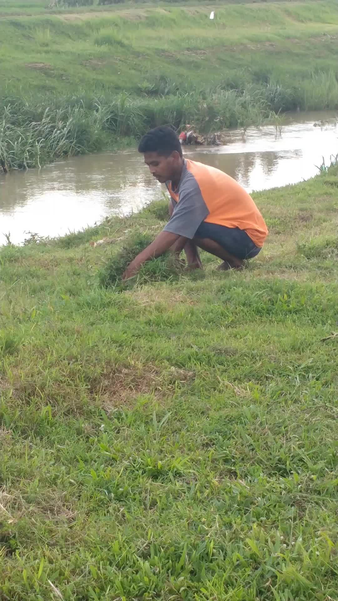 Ngarit Dulu gaes #RCTIPlus 