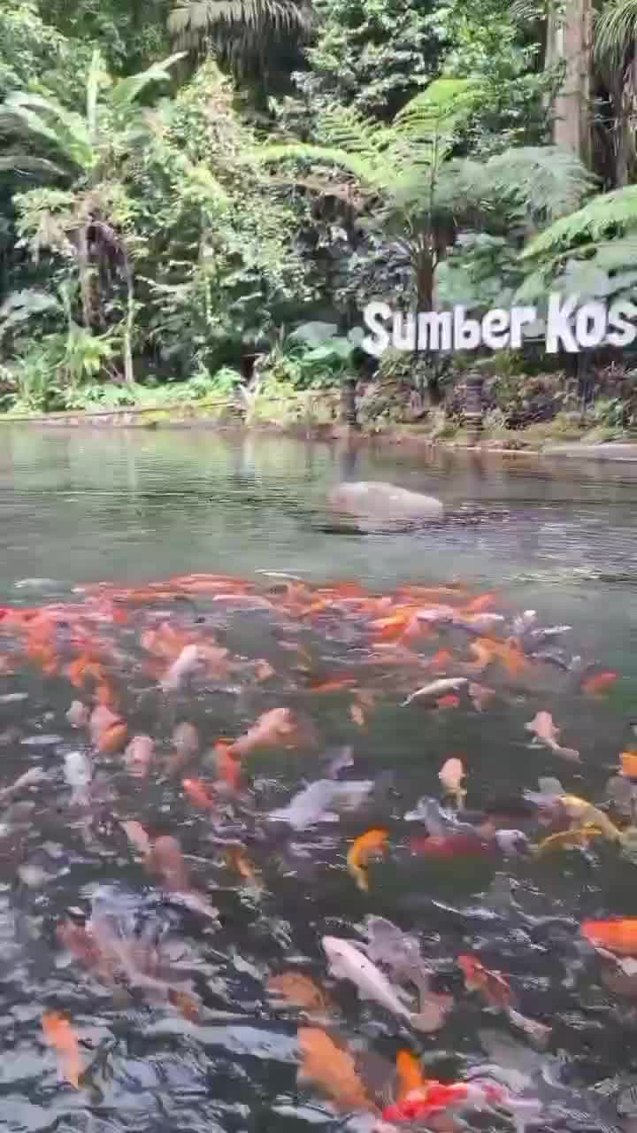 keseruan di jamus
 # fyp  #fypシ  #ngawi 