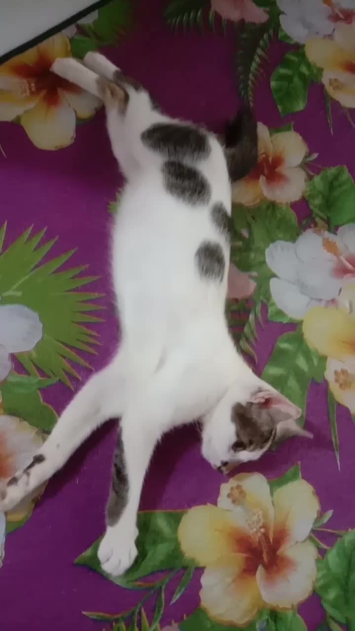 Panjangnya 😄😄