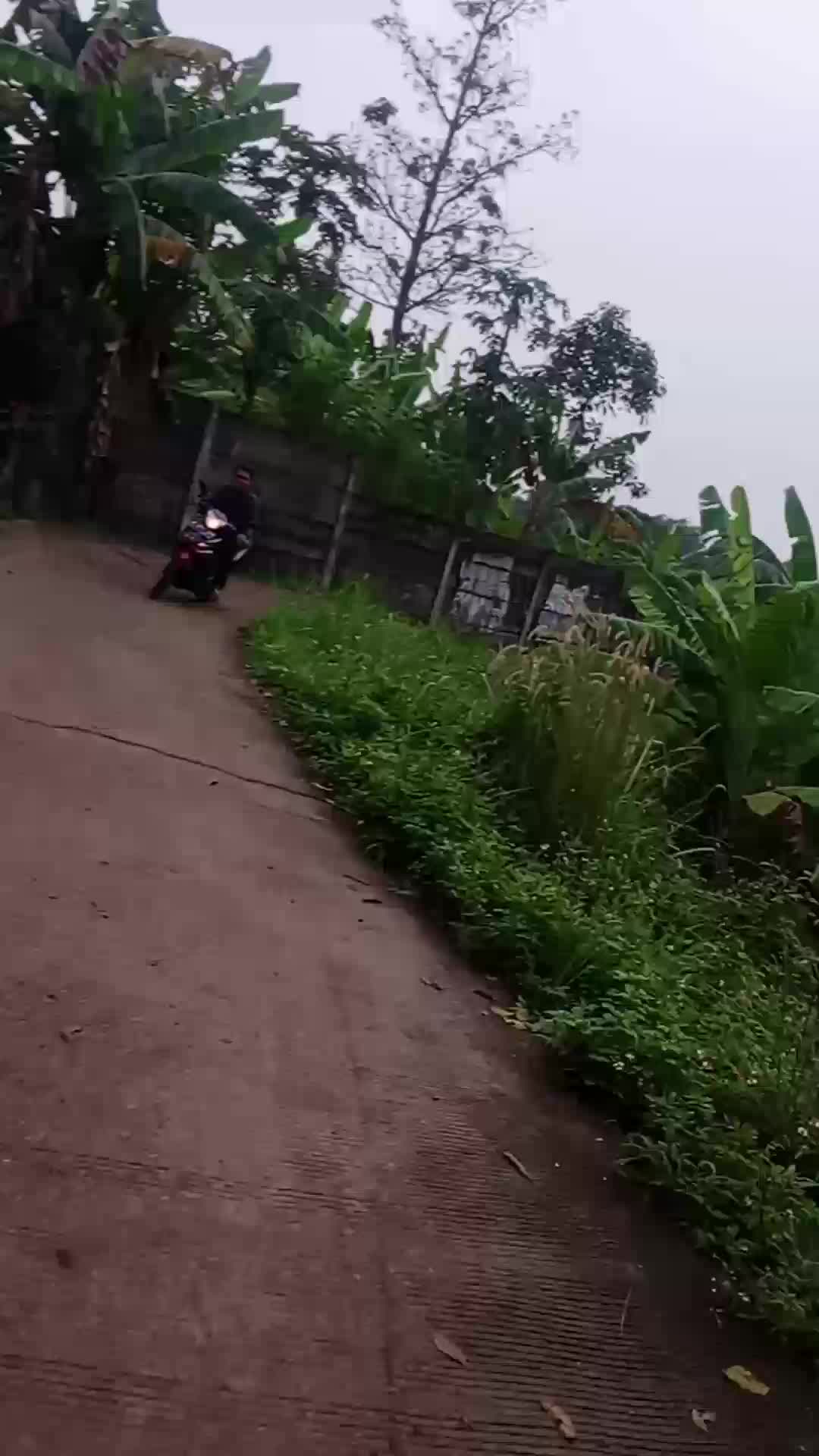 jalan jalan sore
