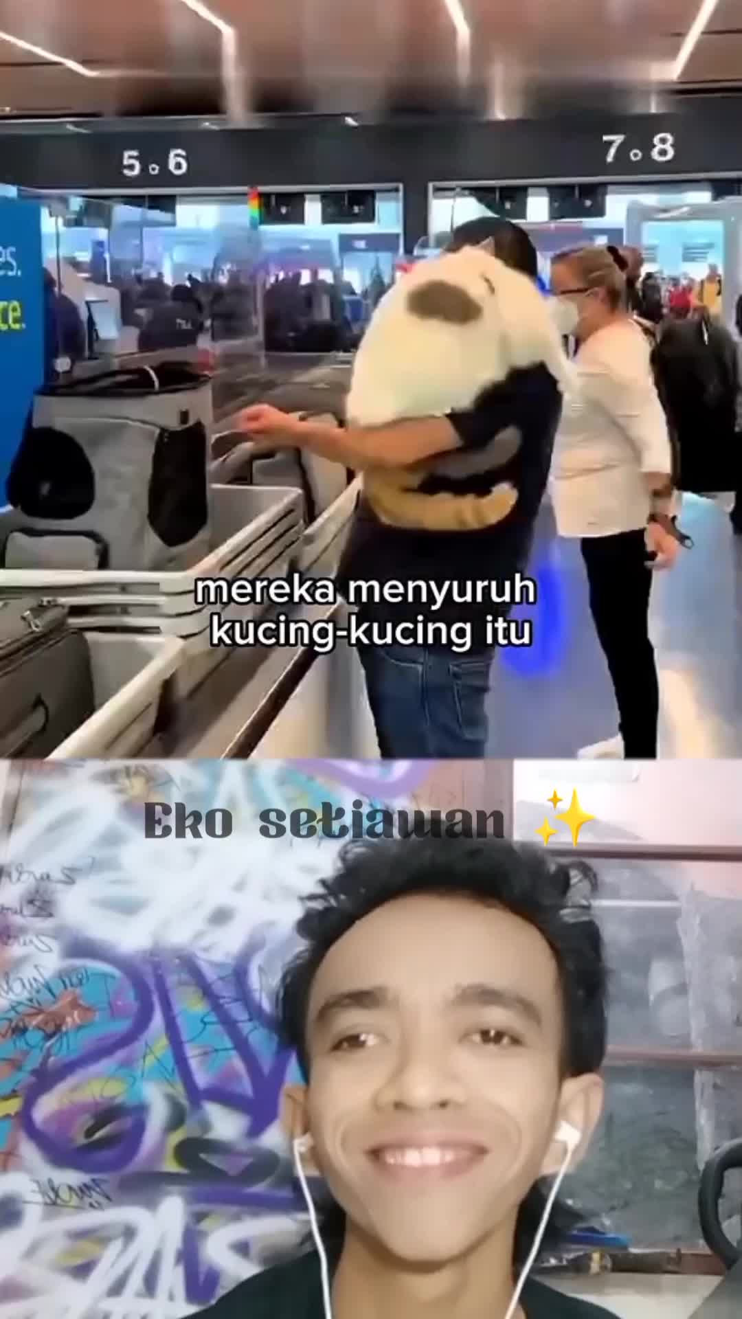 tiga kucing itu akhirnya boleh naik pesawat 😍 #duett #reactiont #fyp 