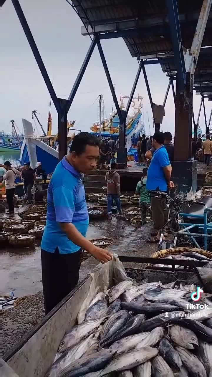 Suasana TPI Lampulo Banda Aceh