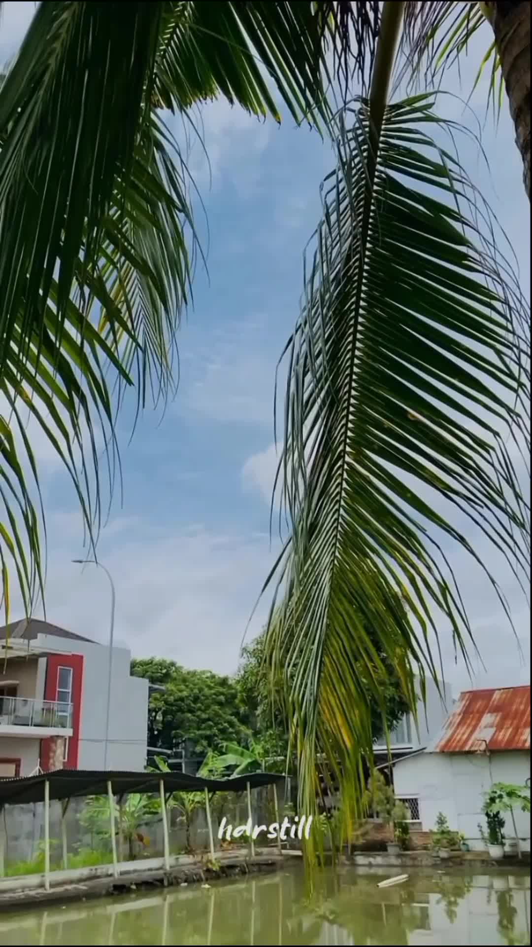 Wanita gak pernah salah  #fyp  #Viral 