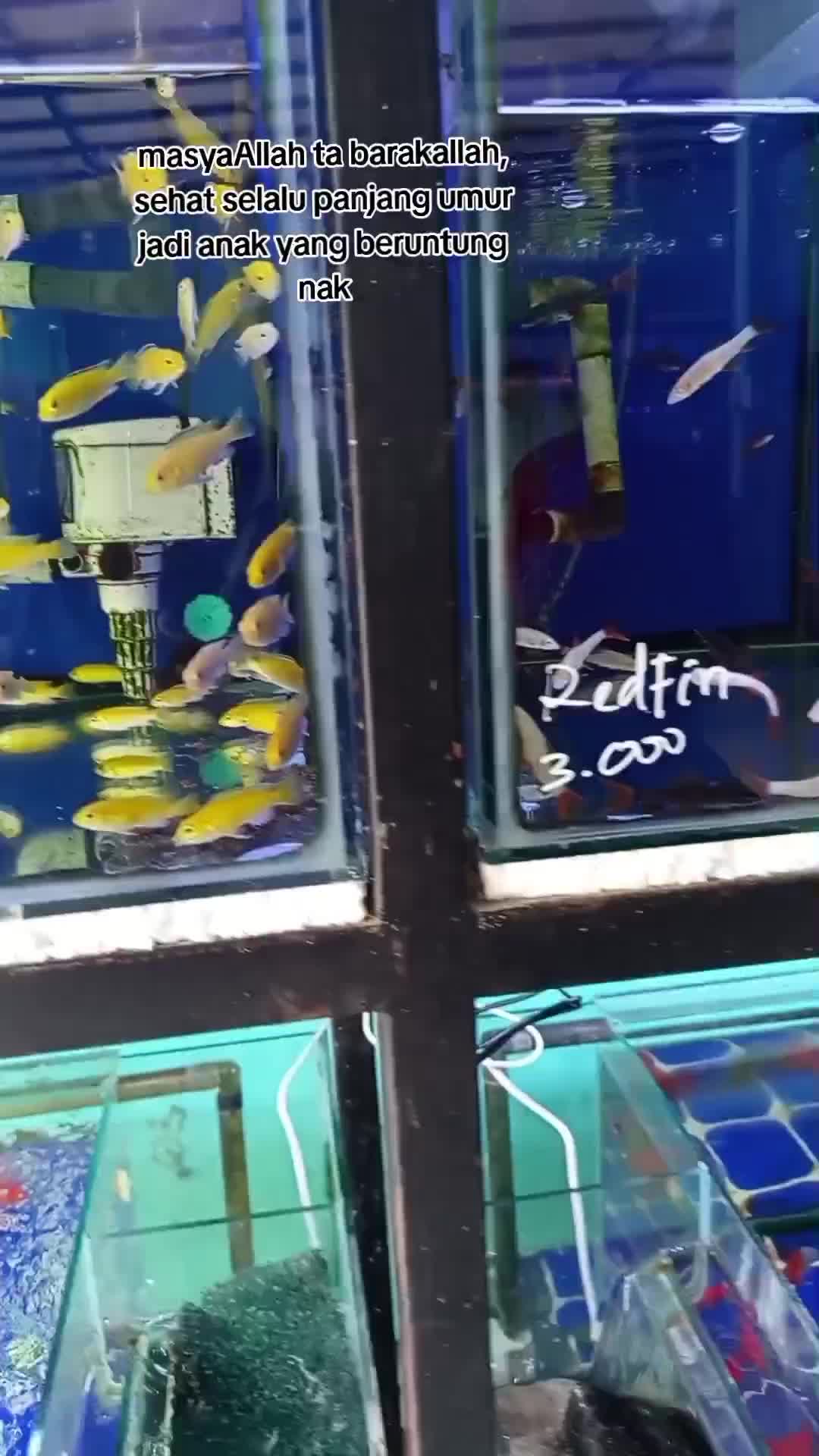 masya Allah ta barakallah sehat slu nak, panjang umur murah rezeki jadi anak yang beruntung aamiin