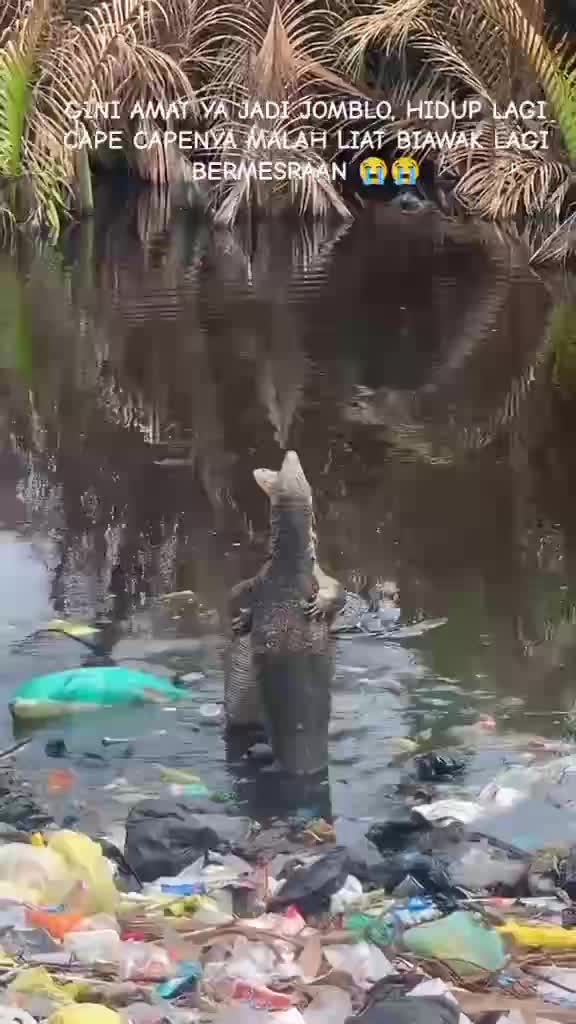 vv