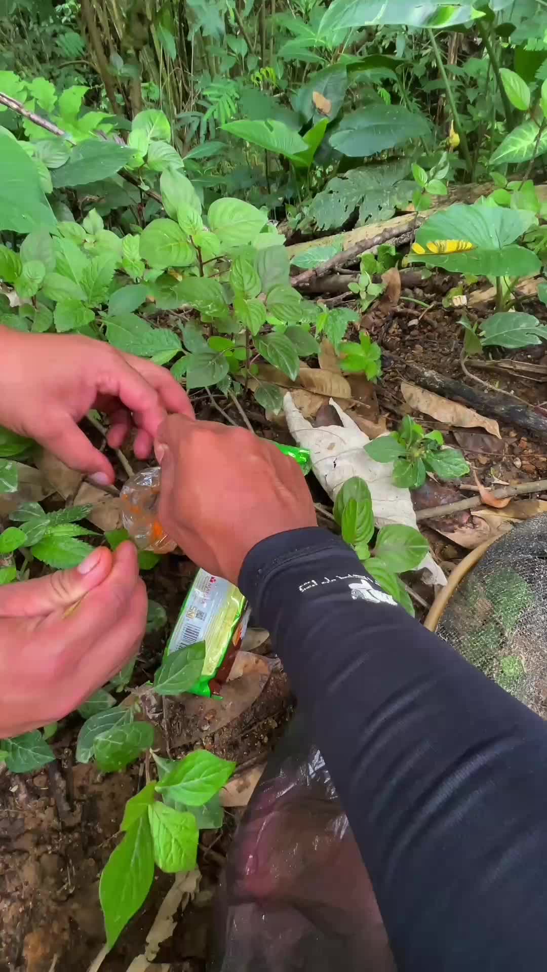 berburu ikan langka Pakai seser
