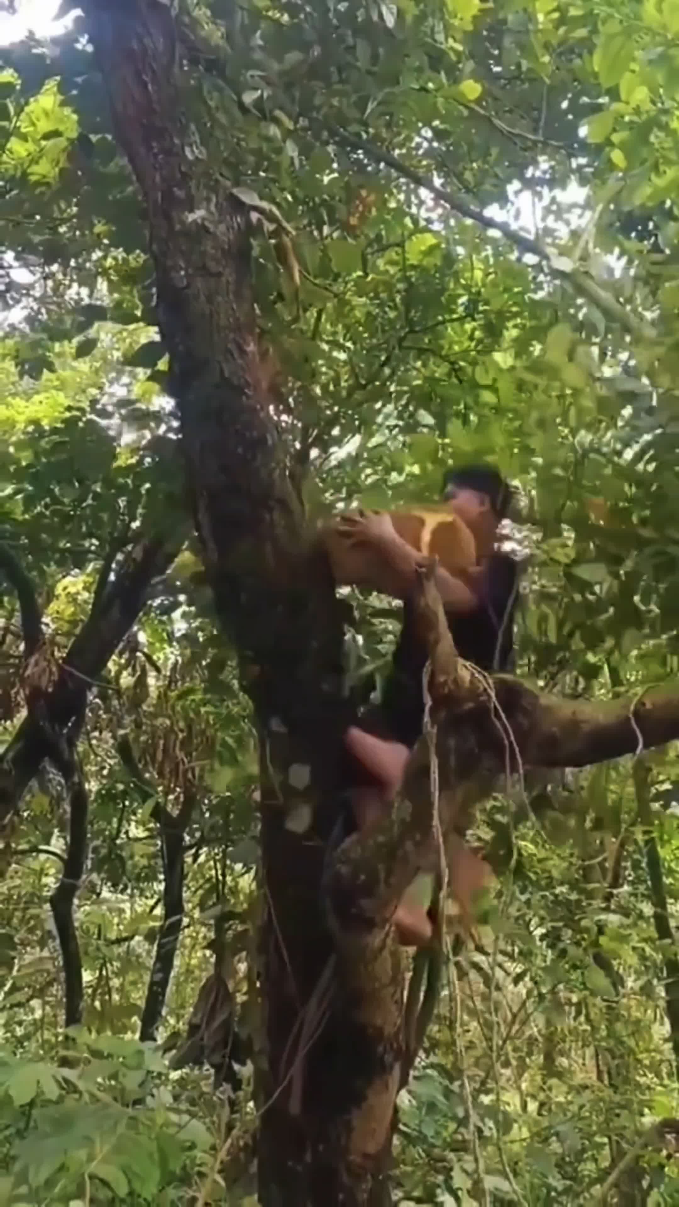 you kidding me #RCTIPlus 