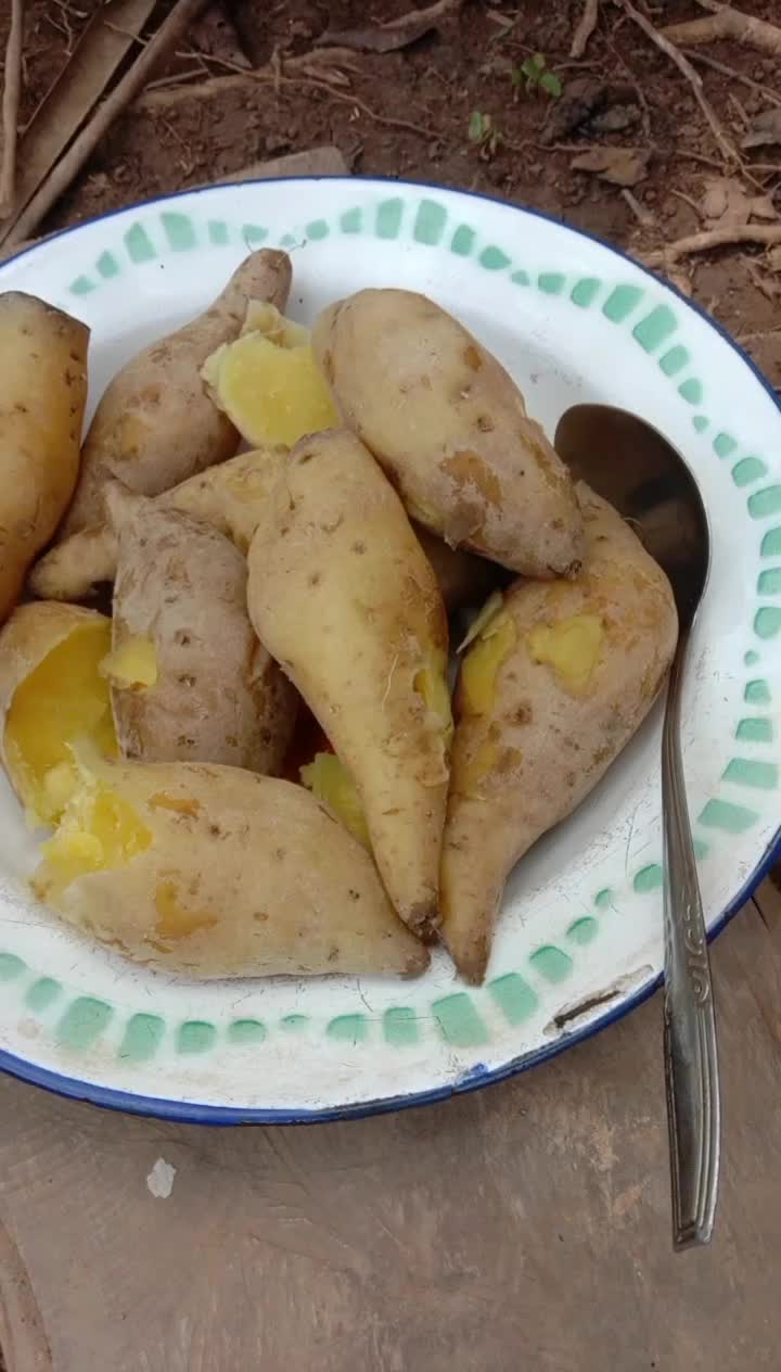 Rimbo, ladang, abuih pelo #minang gadihbujang  #jjajapanesefoodudon #pakistan #assegaf
