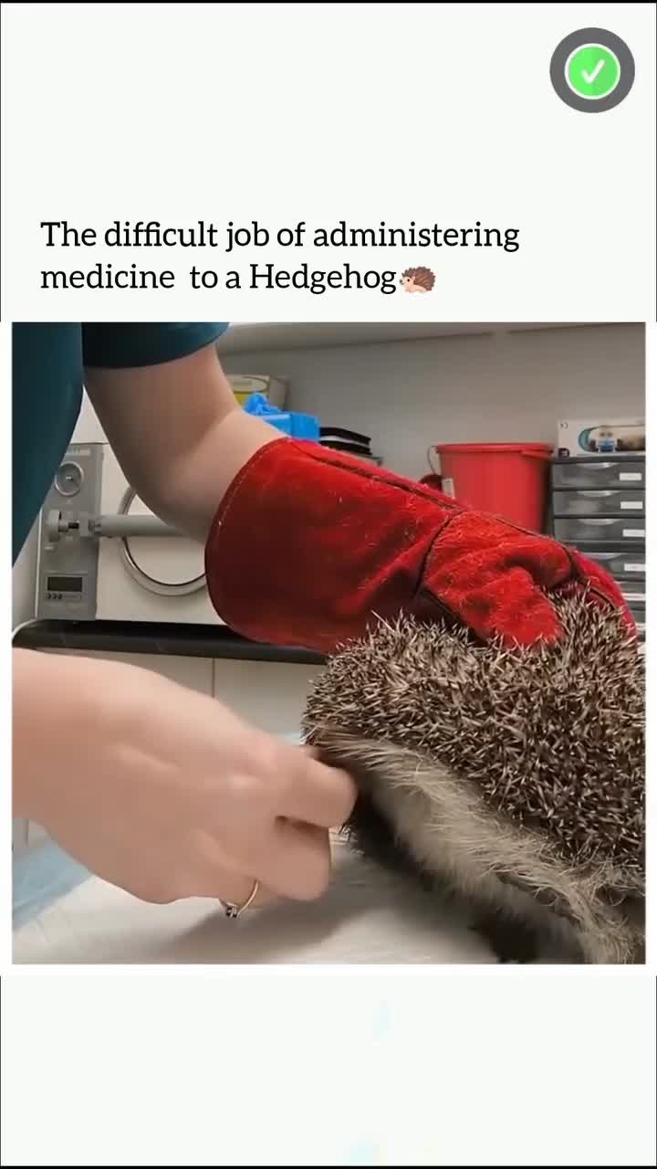 This Will Blow Your Mind! Part 162 🔥 #creativeprocess #innovation #trendingnow #inspiration