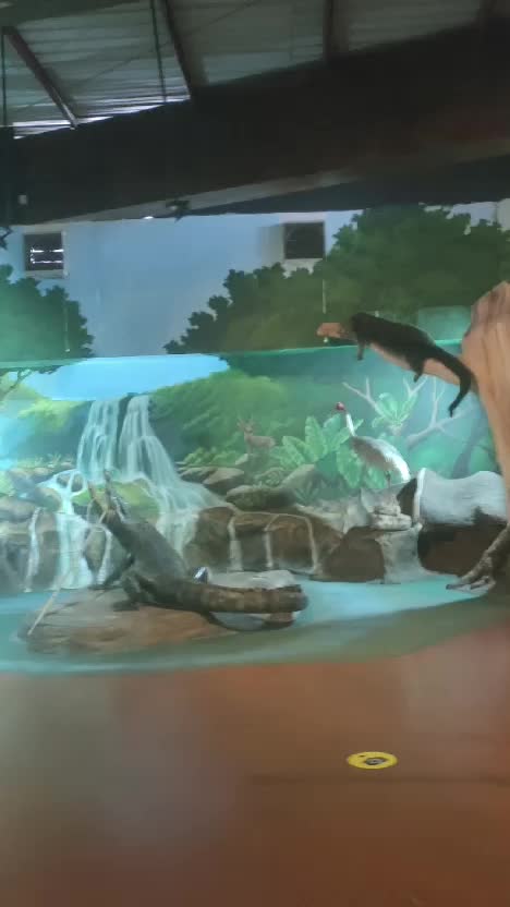 Healing sambil belajar nihh ‼️ 
 #RCTIPlus  #HOTrctiplus  #HomeOfTalentRCTIPlus   #healing  #wisataedukasi  #fyp  #fypシ゚viral 