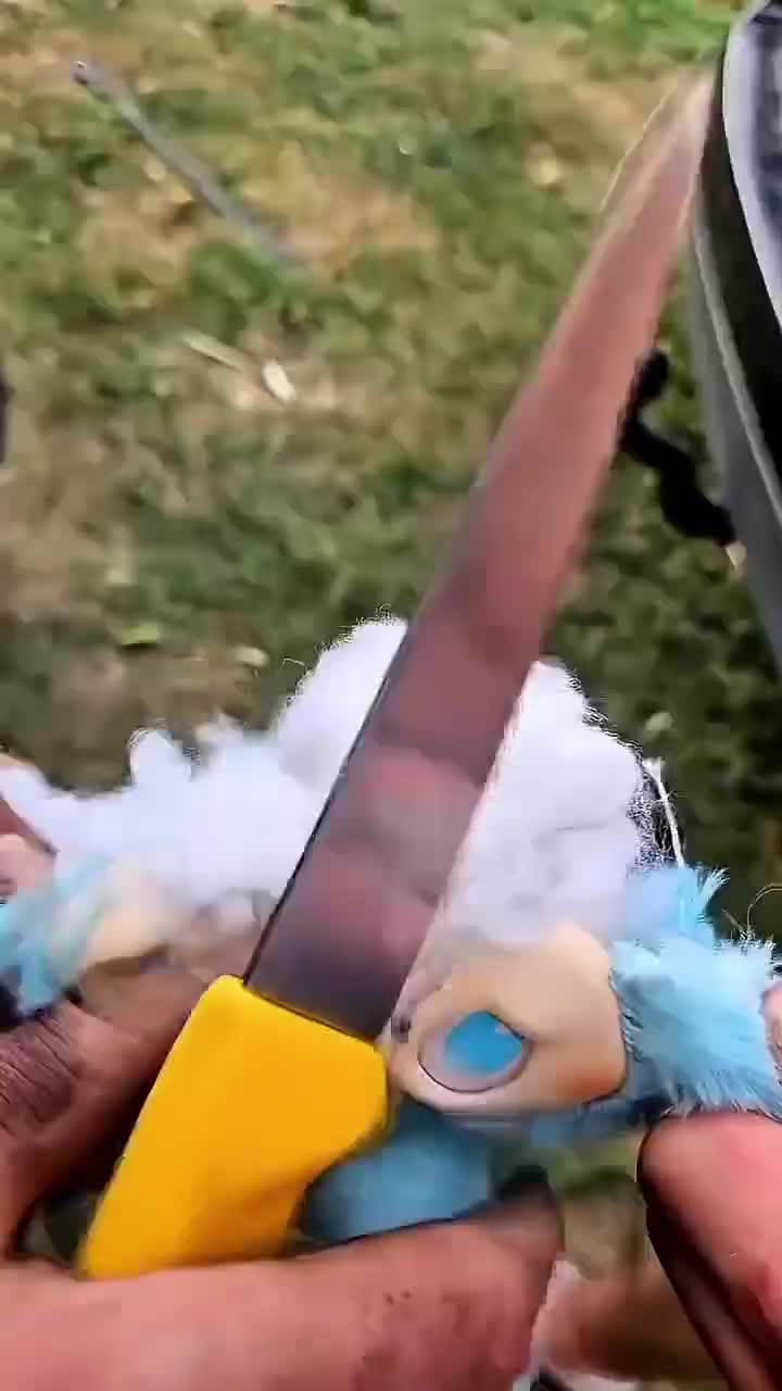 lihat isi boneka ini 