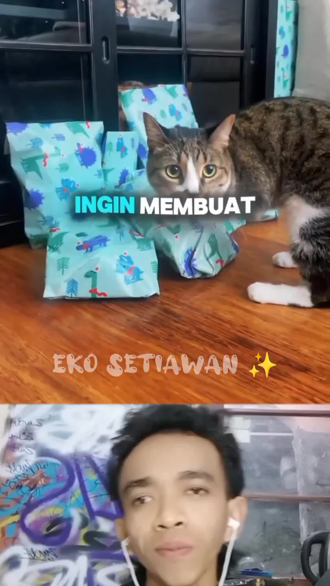 kucing ini tidak pernah patah semangat meski hidup tanpa kedua kaki depannya ??