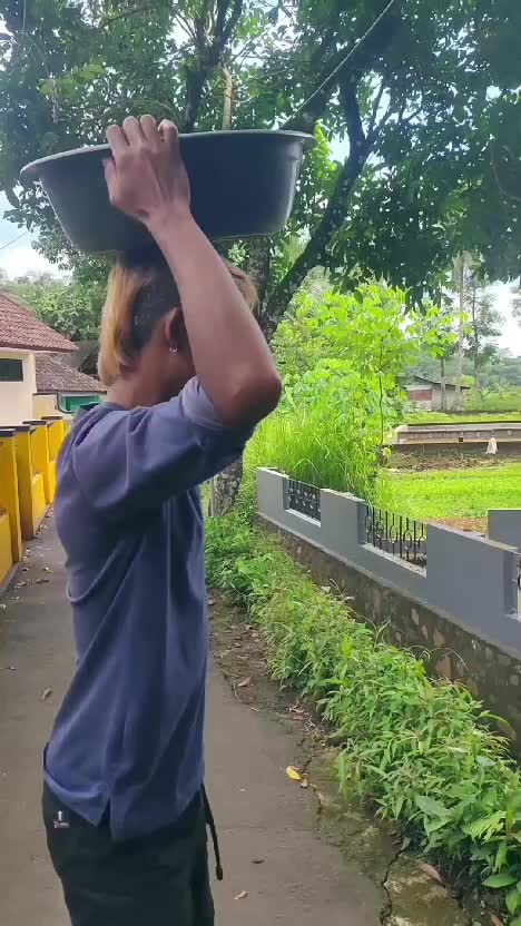 jualan nangka #videolucu  #komedi  #lucu 