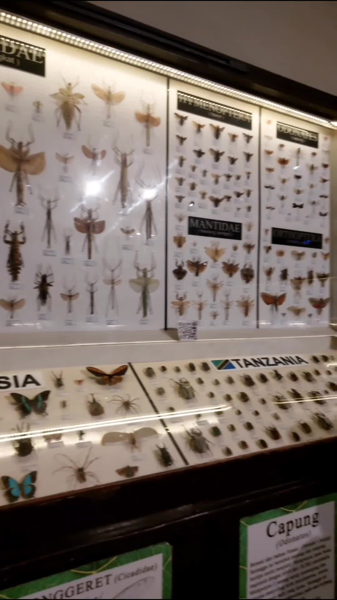 Edisi museum satwa 😍🫶