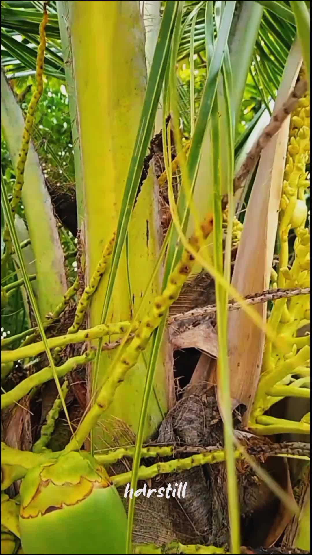 jika kamu orang yang gak enakan  #fyp  #Viral 