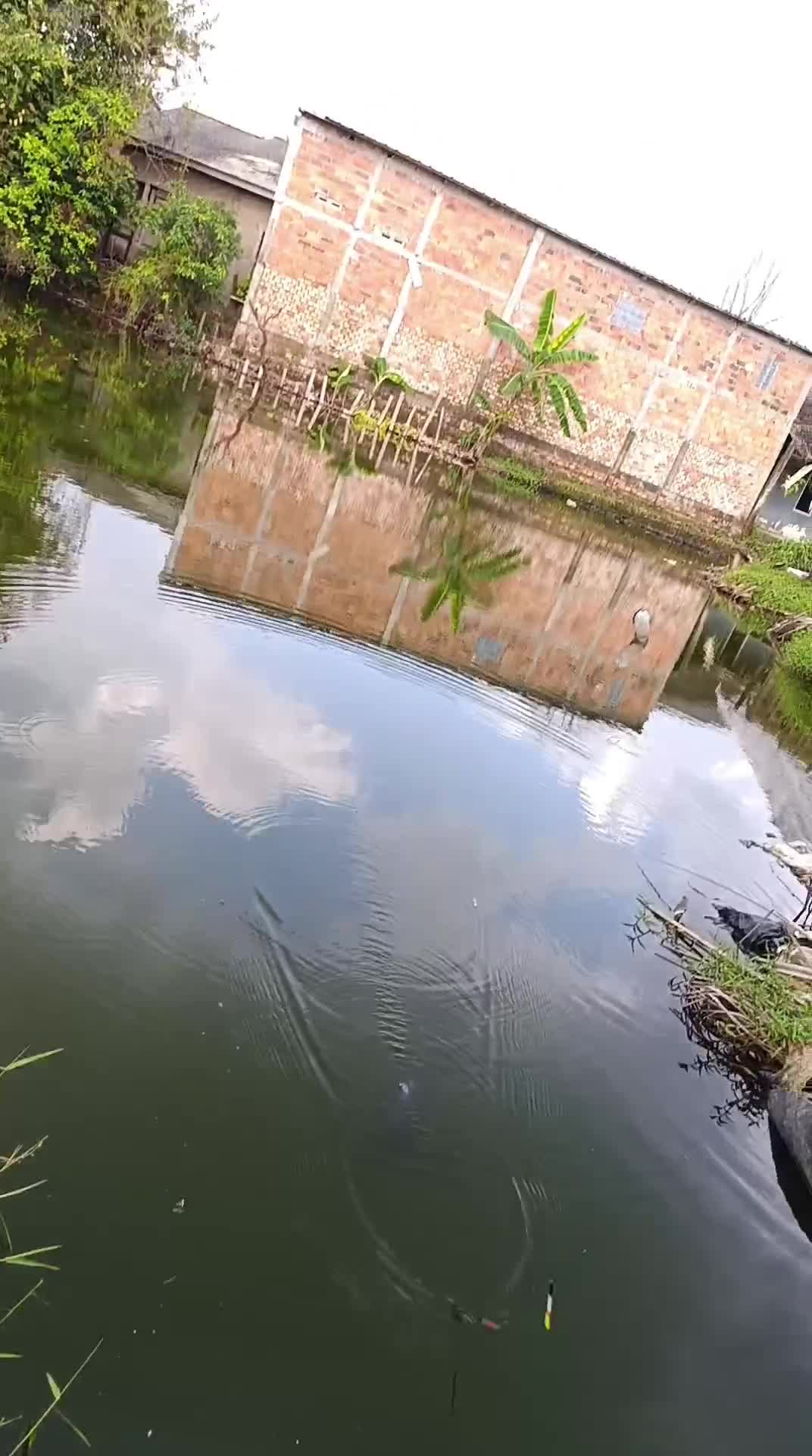 rutinitas  #mancing  #MASAKIKANTONGKOLDENGANBUMBUCABEMERAH 