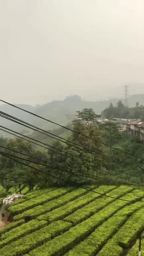 tempat ngopi di atas puncak pass bogor.