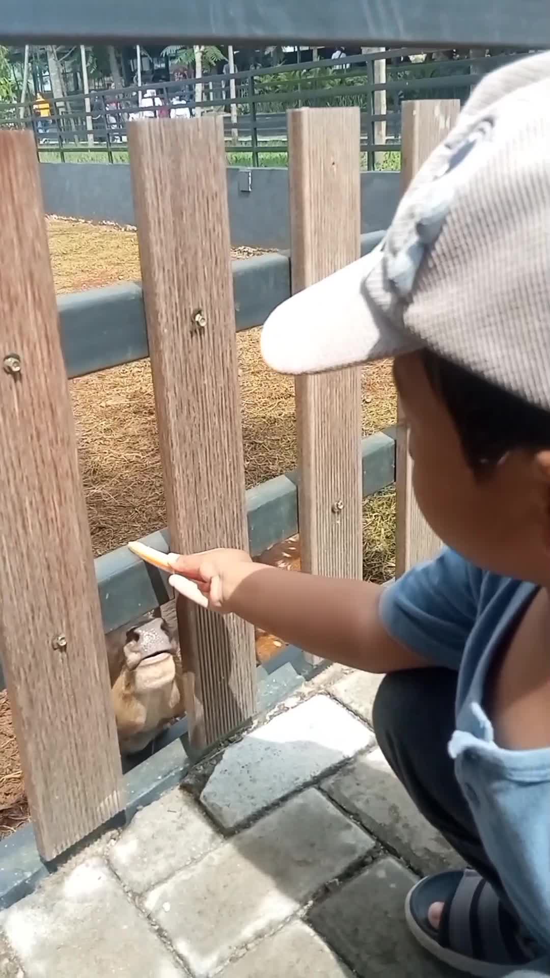 jalan-jalan kasih makan Rusa? 
#jalanjalan 