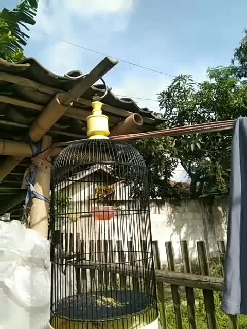  #short  #HOTrctiplus 