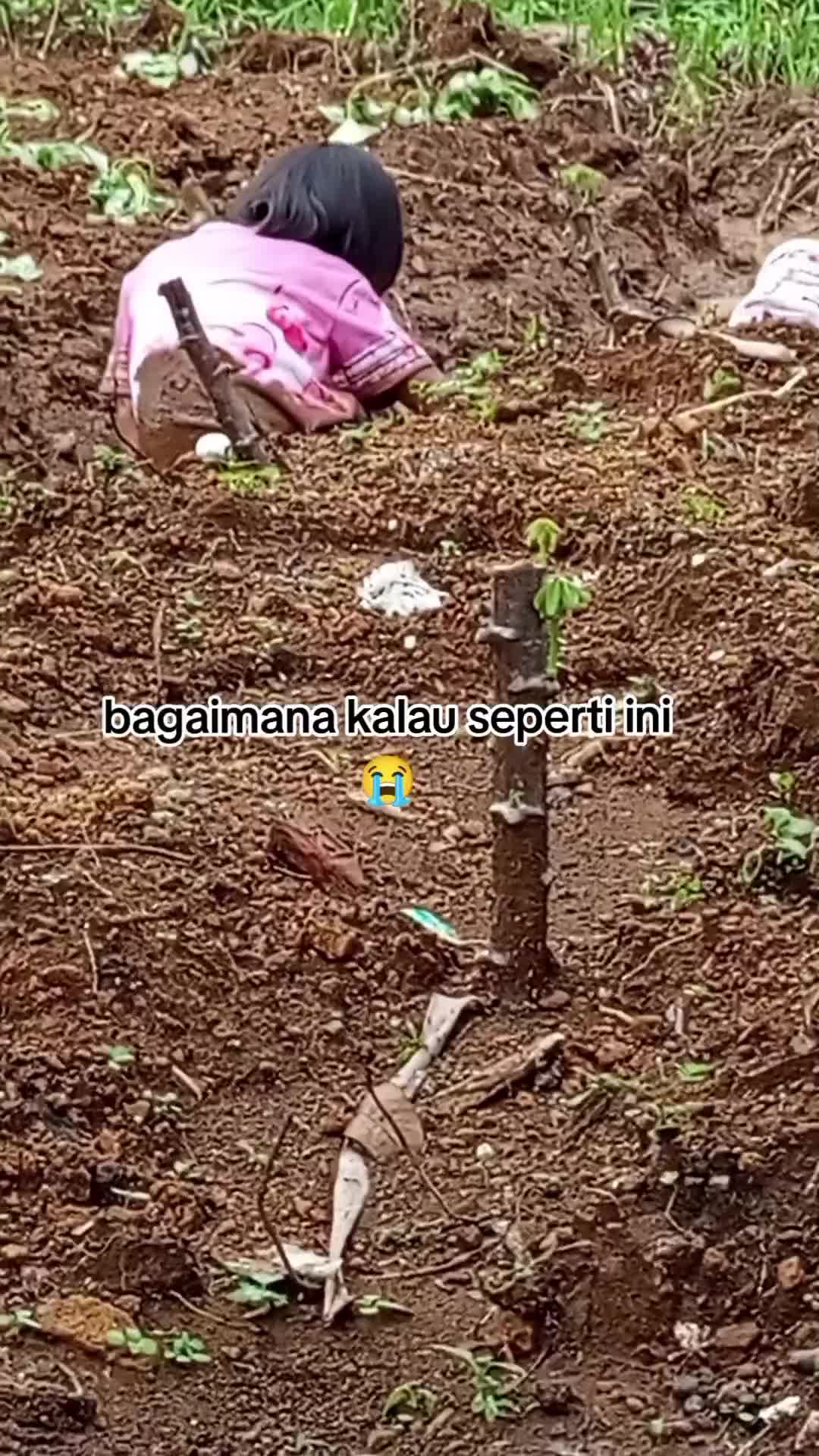 dia senang, aku nyucinya😭😭
