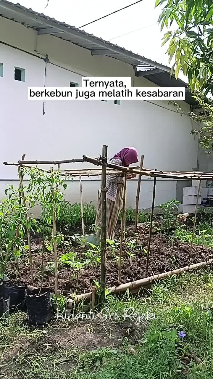 Aktivitas pagi di kebun sambil berjemur
#HOTrctiplus #RCTIPlus #shortplus #shorts #Berkebun #berkebundirumah #gardening 
