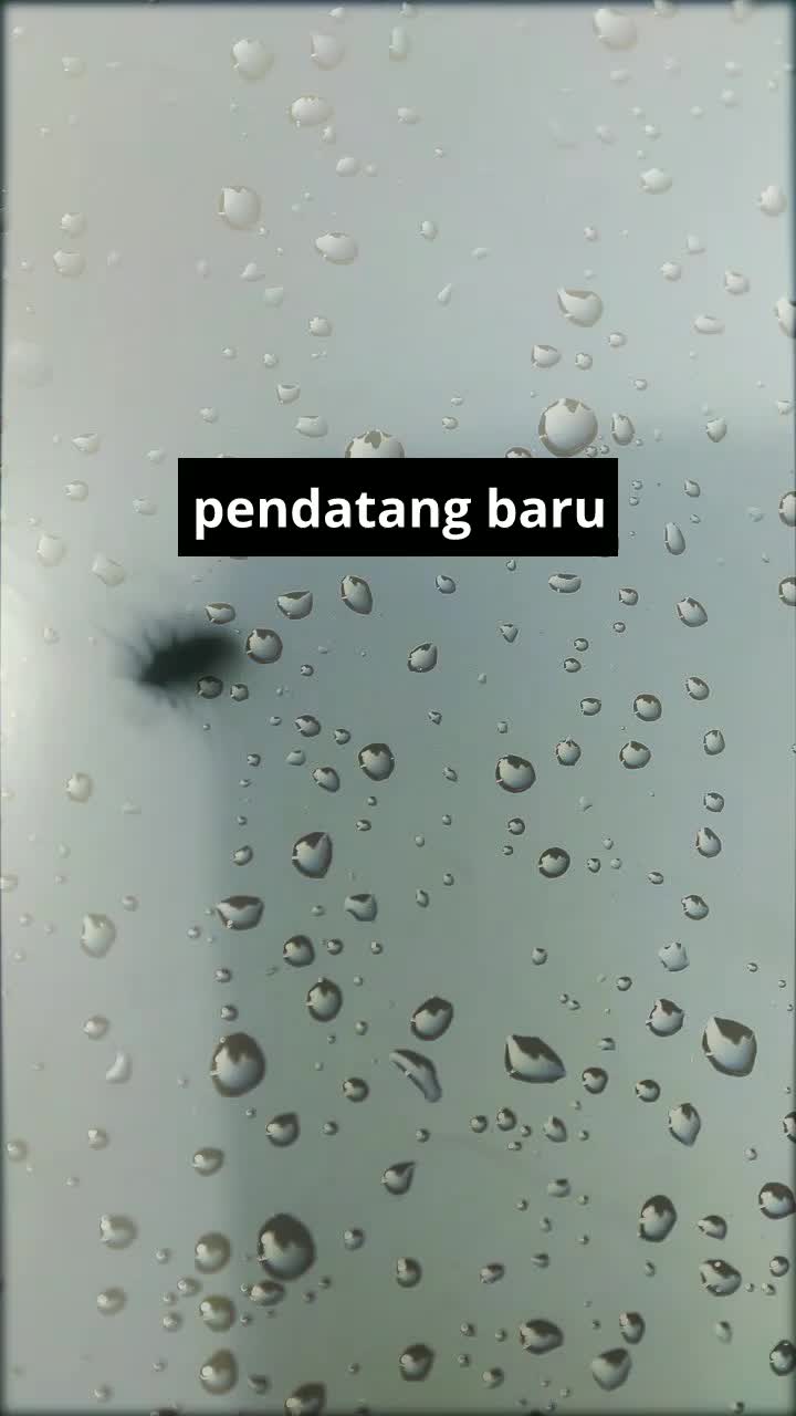 pendatang baru macam apa lagi ini 🙄#dedan glasial#knigh glasial