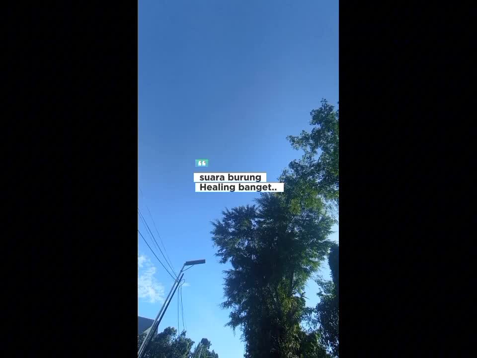 Sabtu Healing, Dengerin suara2 Burung...