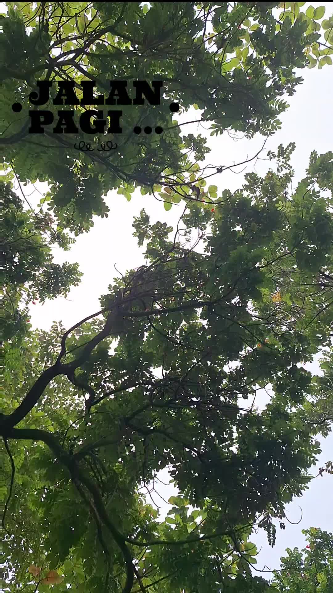 joging kita ...