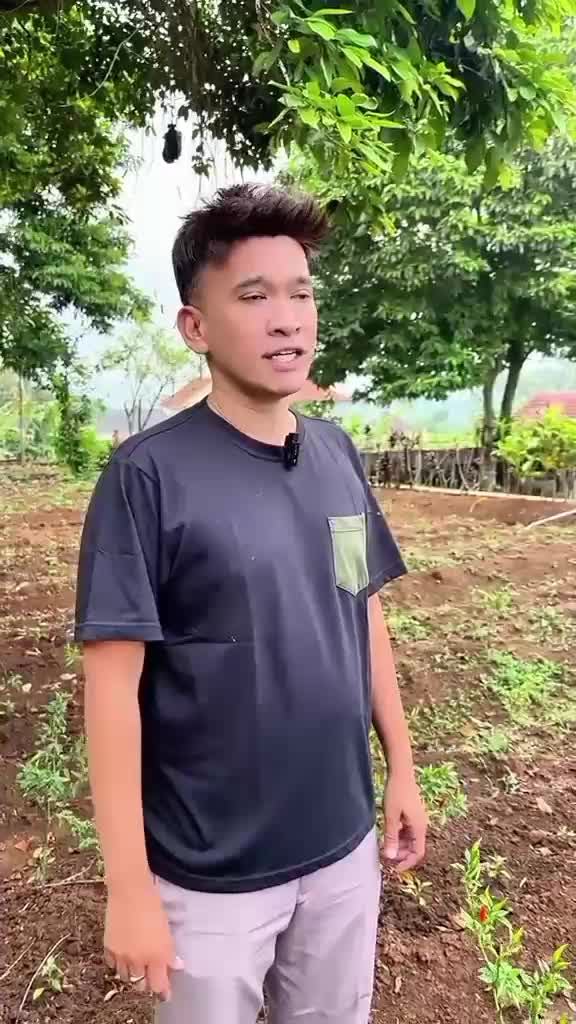 Ruben onsu berkebun ccabai  #rubenonsu  #berkebun  #artisberkebun 