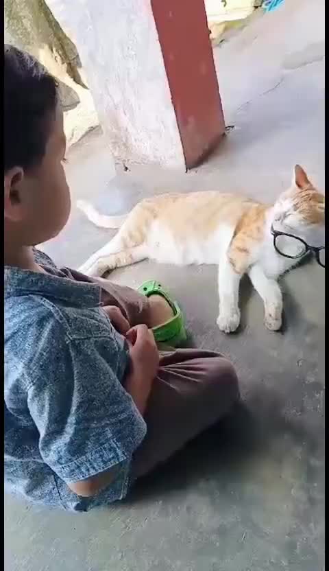 ganangan main sama kucing,ada ada saja tingkahmu.
 #main
 #kucing
 #bahagia
