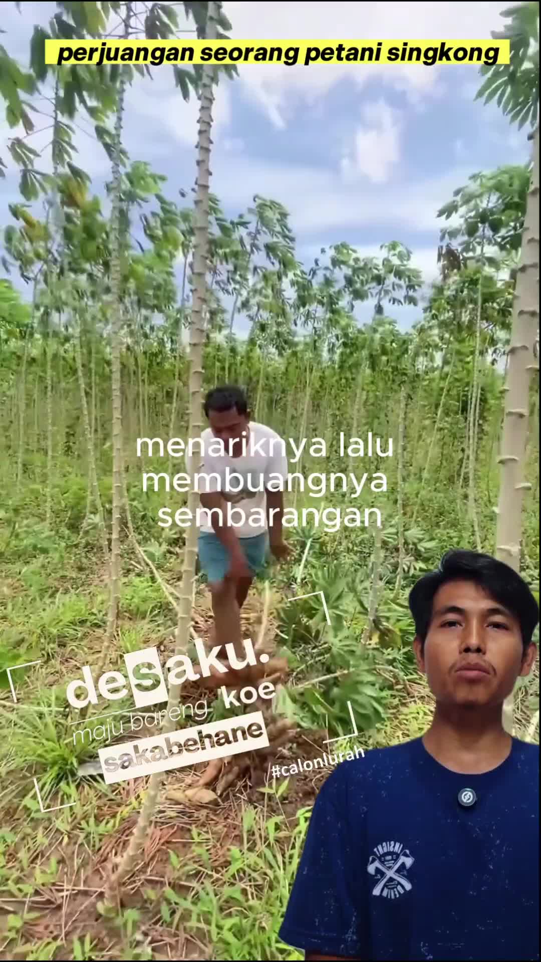 perjuangan seorang petani singkong #petani #singkong #pejuang