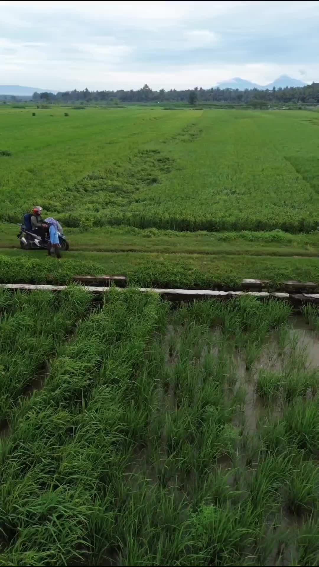 ride morning  #ride  #touring
 #wonderfullindonesia