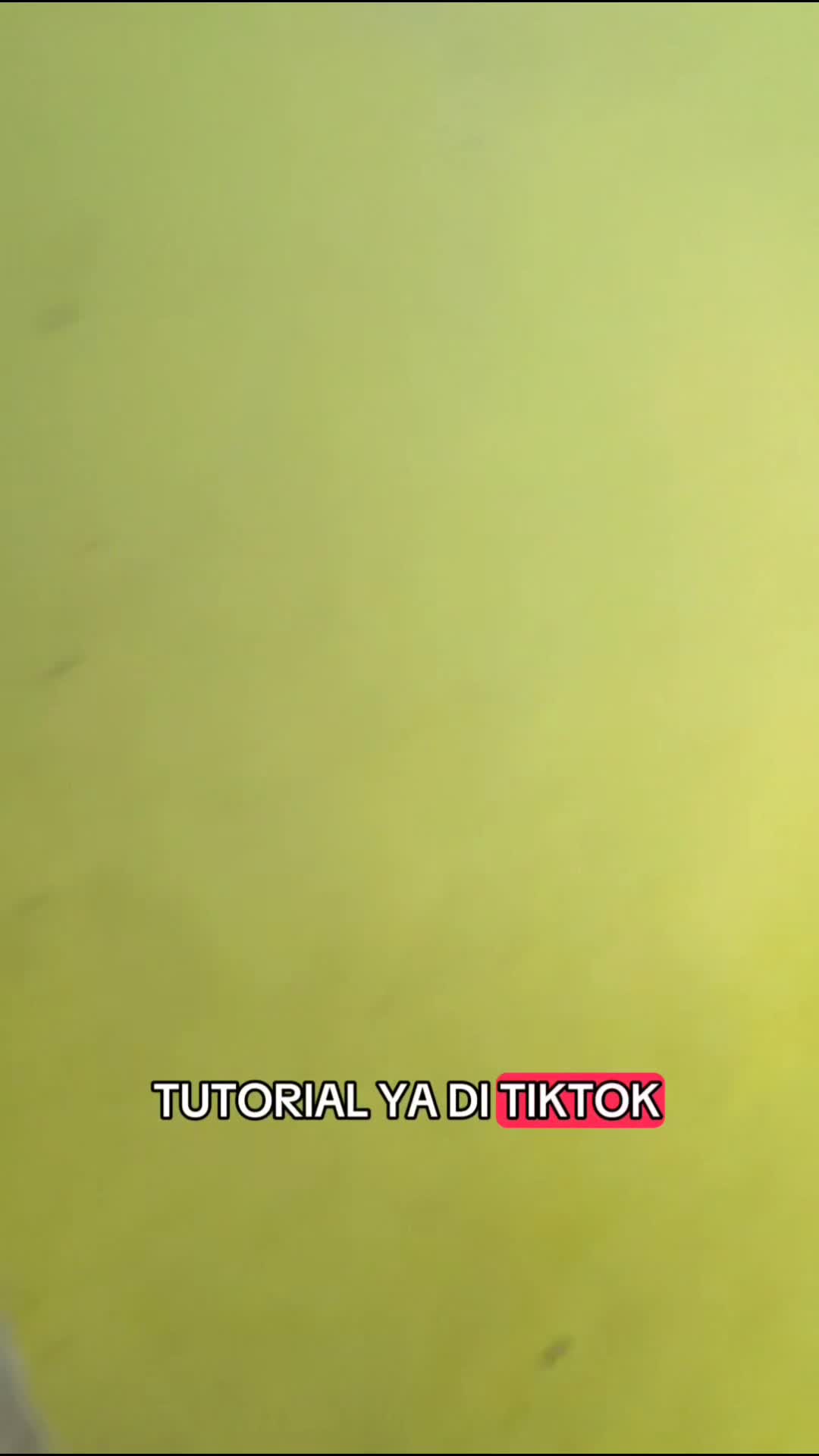 servis kulkas
